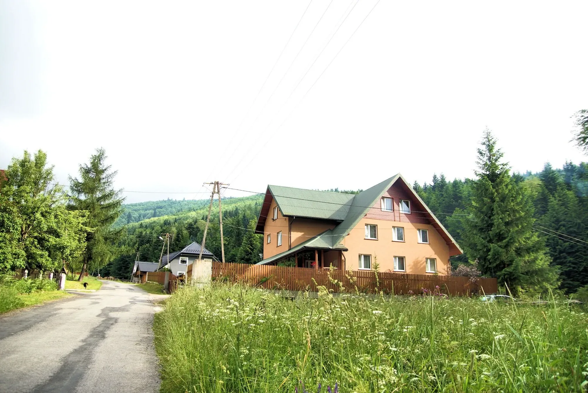 Jodełka